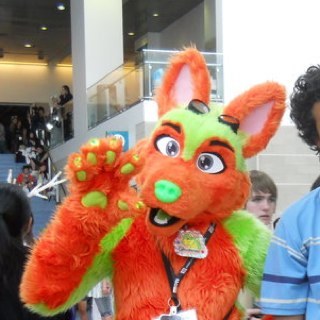 GlowStix_husky's profile picture. 