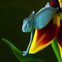 Terrie Becker - @TerrieBecker3 - Twitter