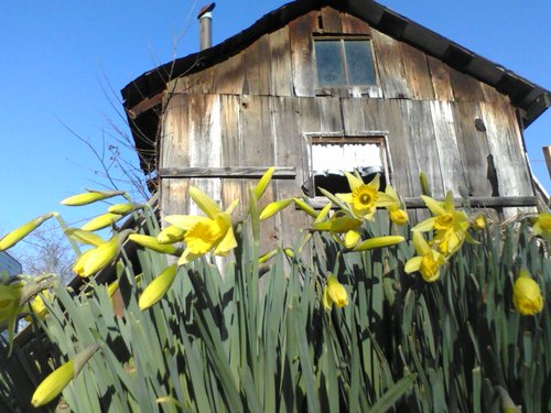 Mama, country life, music.  working on my nest egg.