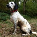 Becky Upton - @beckyupton90 - Twitter