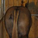 DANIEL gilbert - @Daniel1Gilbert - Twitter