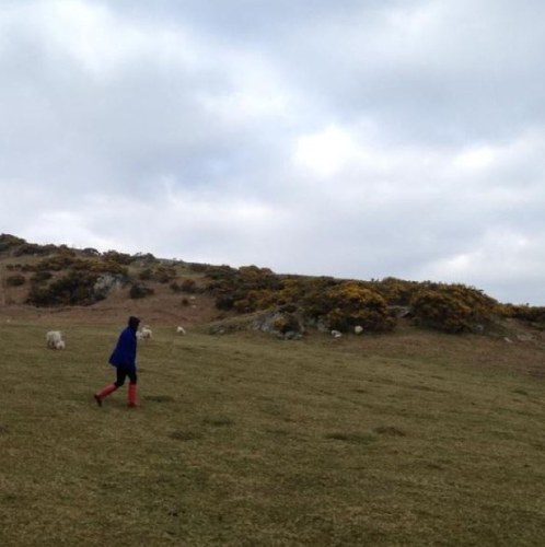 Panda_Helen's profile picture. Why is a Raven like a writing desk?