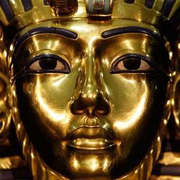 BlueMonarc's profile picture. From all the QUANTUM  possibilities of LIFE  I choose to be a KING of my world.