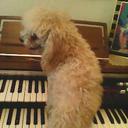 Mary Moro - @MaryMoro7 - Twitter