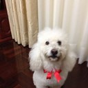 Omar Lujan Vargas - @_omind - Twitter