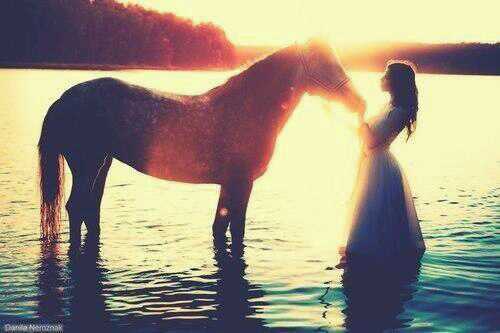 believe in your horses ! ♥