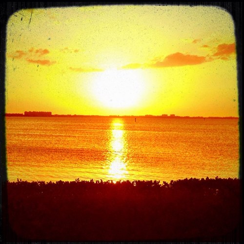 HalseySusan's profile picture. 