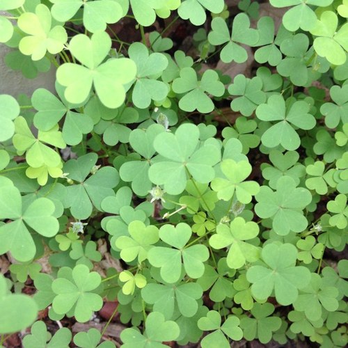 lynnpowersdo's profile picture. 