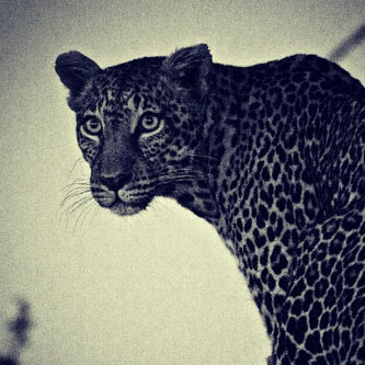 كلام الناس اشبه بالتراب إذا لم يطير به الهواء فهو يداس ..♡