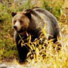 TangoAlpha1's profile picture. 