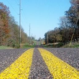 CXingYellowLine's profile picture. 
