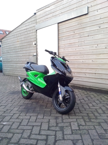 Suzuki #165