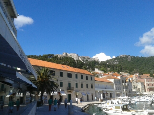 des1202's profile picture. Married and living in Exeter. Keen Gardner, bird watcher and music lover