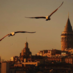 Sinan Laçiner (@snncmgl) Twitter profile photo Sinan Laçiner (@snncmgl) Twitter profile photo