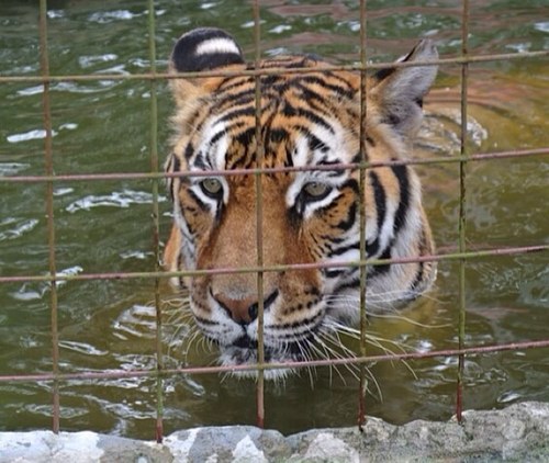 smbwest99's profile picture. 