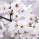 mikey martinez moren - @mikeymezamoren - Twitter