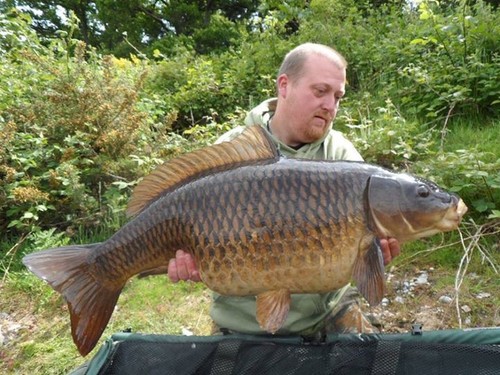 UK pb common 39lb 06oz   UK pb mirror 49lb 10oz 😊😊😊