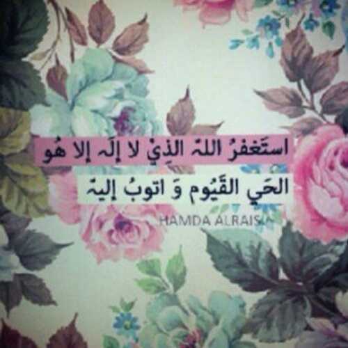 سويت فولو   ('  انفض المفضله ولا عليك امر