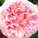 Marcia Lower - @MarciaLower - Twitter