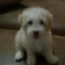 Walter German Acosta - @acostaww - Twitter