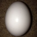 Steven Meyer - @BEARlyworkin - Twitter