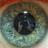 jaywmurdock's profile image