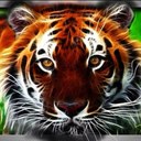 Jack Penner - @sun_cat14 - Twitter