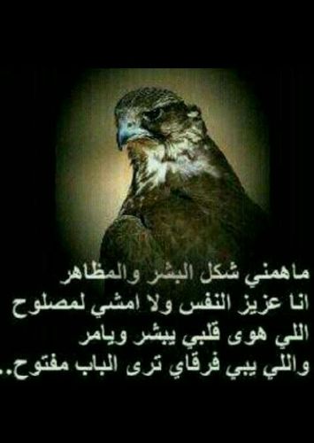 لا صرت صادق قالوا الناس مجنون * * * ما يمدحون إلا النفوس القبيحة