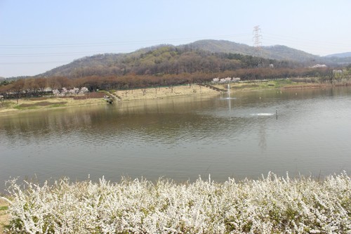 포장되지 않는 자연스러운 삶을 즐기며 유난히 소백산의 정취에 푹 빠져 산이 좋아 산에서 살리라는 말이 어울리는 사람입니다.