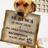 beto_gasca's profile image