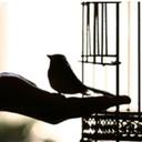 طٌهٌر (@00_hp) Twitter