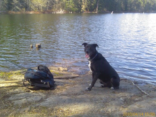 charger543's profile picture. 