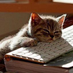''Prensip olarak insan sevmiyorum...''