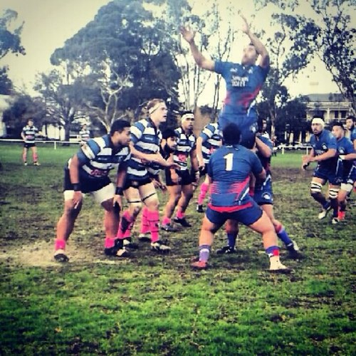 SemoOnesemo's profile picture. 