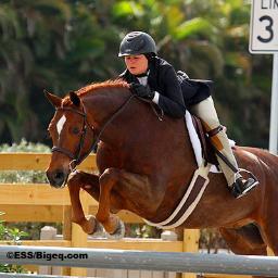 Zone3issues's profile picture. Just venting about the issues of the A circuit and everyday riding life.