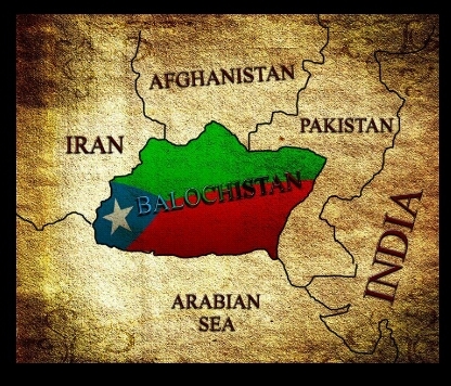 kamash509's profile picture. 