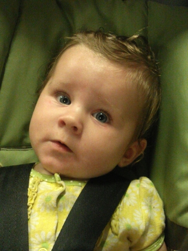 ang_allen's profile picture. 