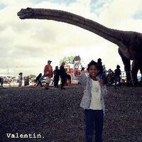 Valentin Silva (@valentinmalik) 's Twitter Profile