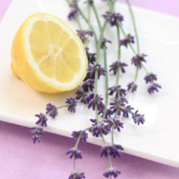 LemonZestAndLav Profile Picture