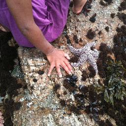 canerowkids's profile picture. Canerow shares media/um reflective of the histories, lives, experiences, & dreams of people of color for kids of color. Creators: @miabirdsong & @MariahLanders