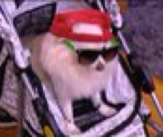 rat_tatat's profile picture. 