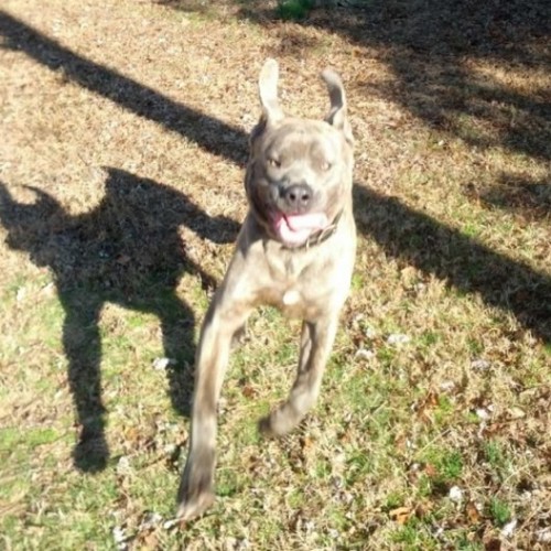 alabobby1991's profile picture. 