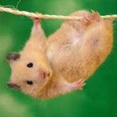 hello!