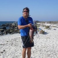 rodrigo olivares lar (@elporfiaodetalc) 's Twitter Profile