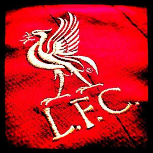 LFC4LIFE_7's profile picture. LIVERPOOL FC SEXY LADIES ENGLISH BULLDOG OASIS STEREOPHONICS FOOTBALL COACH,                 PROUD TO BE A SOUTHERN RED #YNWA#JtFT96#LFC4LIFE#LFCFAMILY#