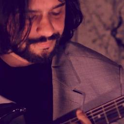 Singer / Songwriter/ Instrumentist