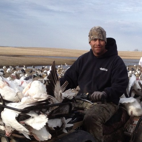 ibar73's profile picture. 