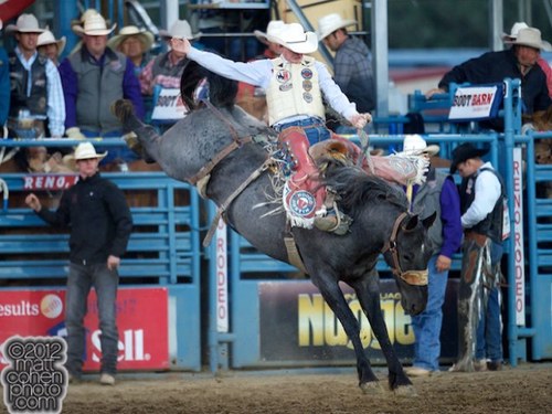 Professional Saddle Bronc rider, Wyoming travel and tourism, RodeoAustin