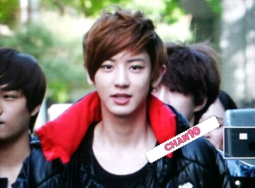 Wolf_Beauty_CY's profile picture. 