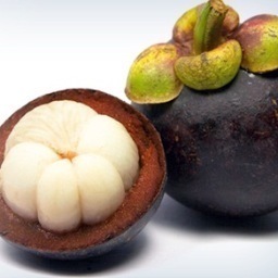 JandeeCharest's profile picture. Nutritionist, Brand Partner in Automatic Body, Hair Stylist, Mother to a beautiful daughter and Wife to an amazingly courageous husband.